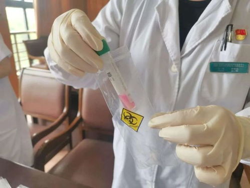 嘉定社區衛生服務中心 核酸檢測采樣與環?？萍技夹g開發服務介紹