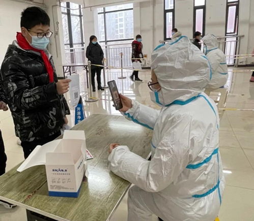 登封教育人全力服務(wù)，核酸檢測(cè)平穩(wěn)有序高效開展